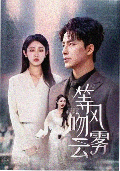 迷雾回廊剧集封面